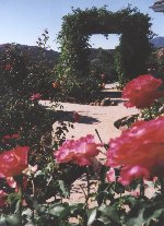 Garden 2