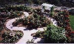 Garden 5
